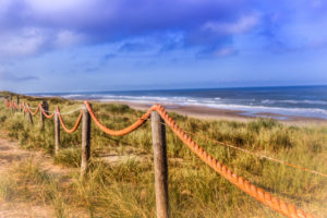 Netherlands, Holland, on the West Frisian island of Texel, Province of North Holland Netherlands, Holland, on the West Frisian island of Texel, Province of North Holland